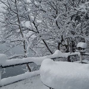 Meet your Posher, Kash